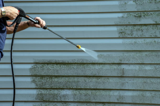 Trusted Rosedale, MS Pressure Washing Services Experts